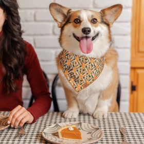 Fall-24_Gobble-Gobble_Bandana_Embroidered