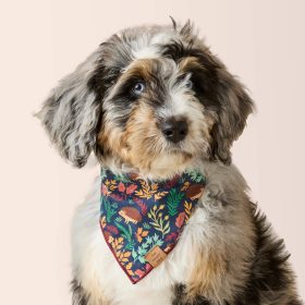 Fall25_Hedgehog-Hollow_Bandana