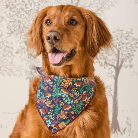 Fall25_Hedgehog-Hollow_Bandana