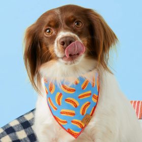 July4-25_Hot-Diggity_Bandana