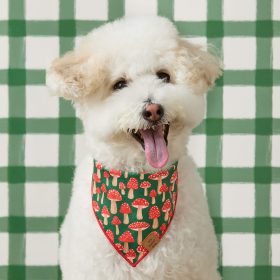 Fall25_Mushroom-Meadow_Bandana_00c17116-e04e-4d3b-afd8-17af73d061c9