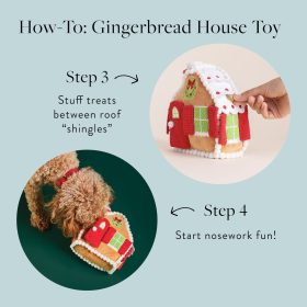 Toy_Gingerbread_Front