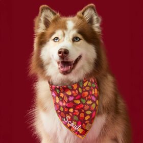 Fall25_Nuts-About-You_Bandana_Embroidered
