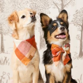 Fall24-Pumpkin-Spice-Flannel_Bandana_Embroidered