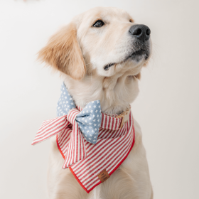 Red-Stripe_Bandana_EmbroideredCharcoal