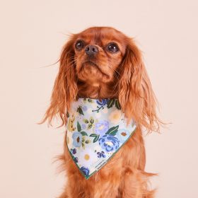Vintage-Blossom_Bandana