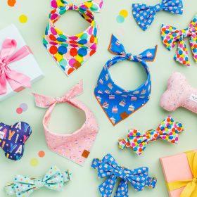 Pup_Pup_and_Away_Bandanaupdated_1