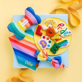 Over_The_Rainbow_Bandana_Embroidered_2_1