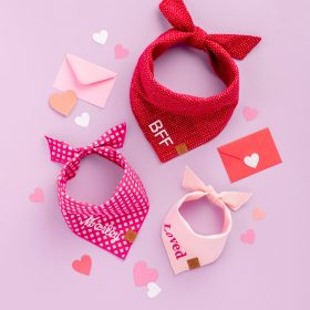 Bandana_Berry_Stitch_Embroidered