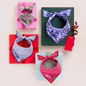 Lake-Blue-Stripe_Bandana_Embroidered