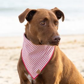 Red-Stripe_Bandana_EmbroideredCharcoal