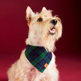 Bandana_Blackwatch_Plaid_Embroidered_Edited