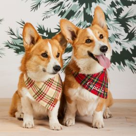 Holiday25_Tartan-Plaid_Bandana_Embroidered