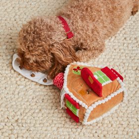 Toy_Gingerbread_Front