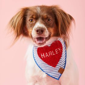 Valentines-25_Heart-Applique_Bandana_Emboidered