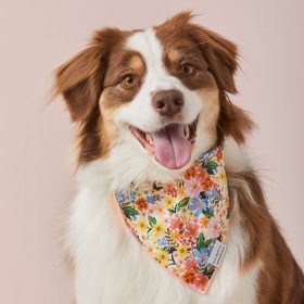 Marguerite_Bandana