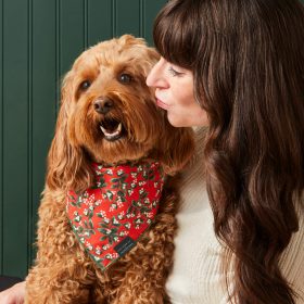 Holiday24_Mistletoe_Bandana