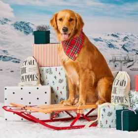 Holiday25_Tartan-Plaid_Bandana_Embroidered