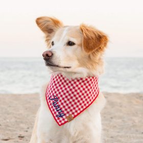 Core-25_Red-Gingham_Bandana