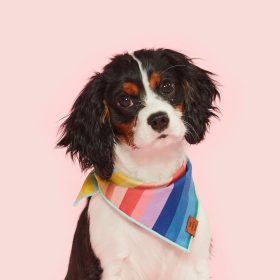 Over_The_Rainbow_Bandana_Embroidered_2_1