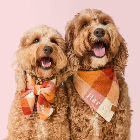 Fall24-Pumpkin-Spice-Flannel_Bandana_Embroidered